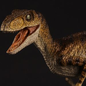 🦖 Only Paleontologists Can Pass This Dinosaur Quiz — How Well Can You Do? Velociraptor