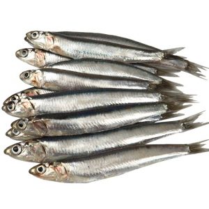 🛒 Shop at a Supermarket and If You Pay Under $25, You Win! Sardines