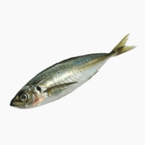 🛒 Shop at a Supermarket and If You Pay Under $25, You Win! Mackerel