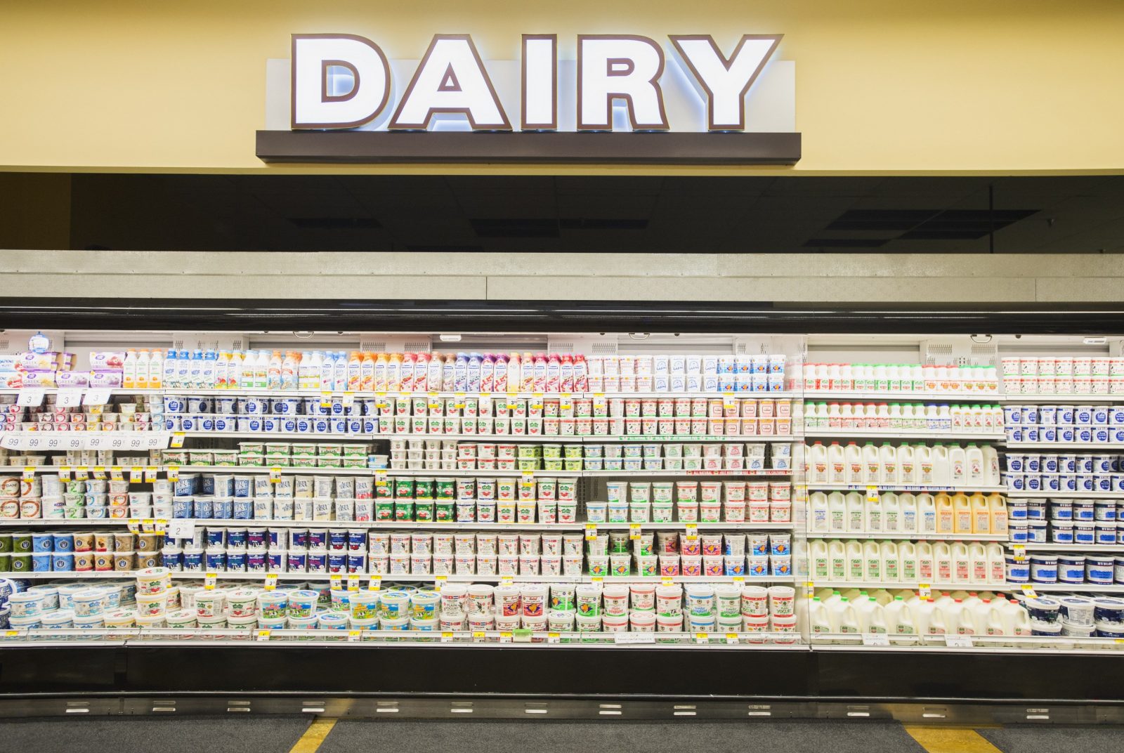 🛒 Shop at a Supermarket and If You Pay Under $25, You Win! dairy section