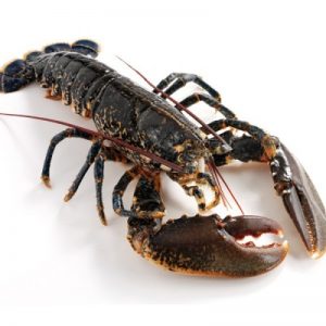 🛒 Can You Waste $1,000 in This Grocery Store? Scottish lobster