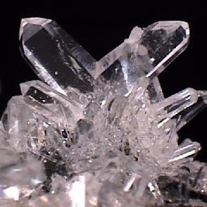 Prove to Be a Trivia Genius by Answering These 20 Random Questions Quartz