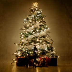 What Type Of People Do You Attract? Quiz Christmas