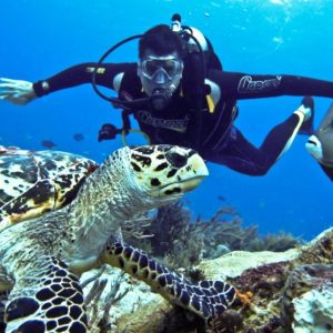 Can We Guess How Long You've Been Single? Quiz Scuba diving
