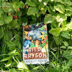 Buy Books At Book Fair & I'll Give You '90s Teen Heartt… Quiz A Walk in the Woods