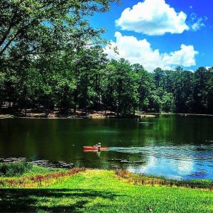 No American Has Got Perfect Score On This Quiz Without Cheating Mississippi
