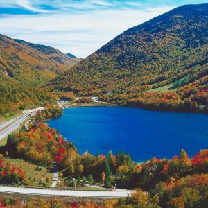 🐻 Can You Identify These US States Based on Their Official Animals? New Hampshire