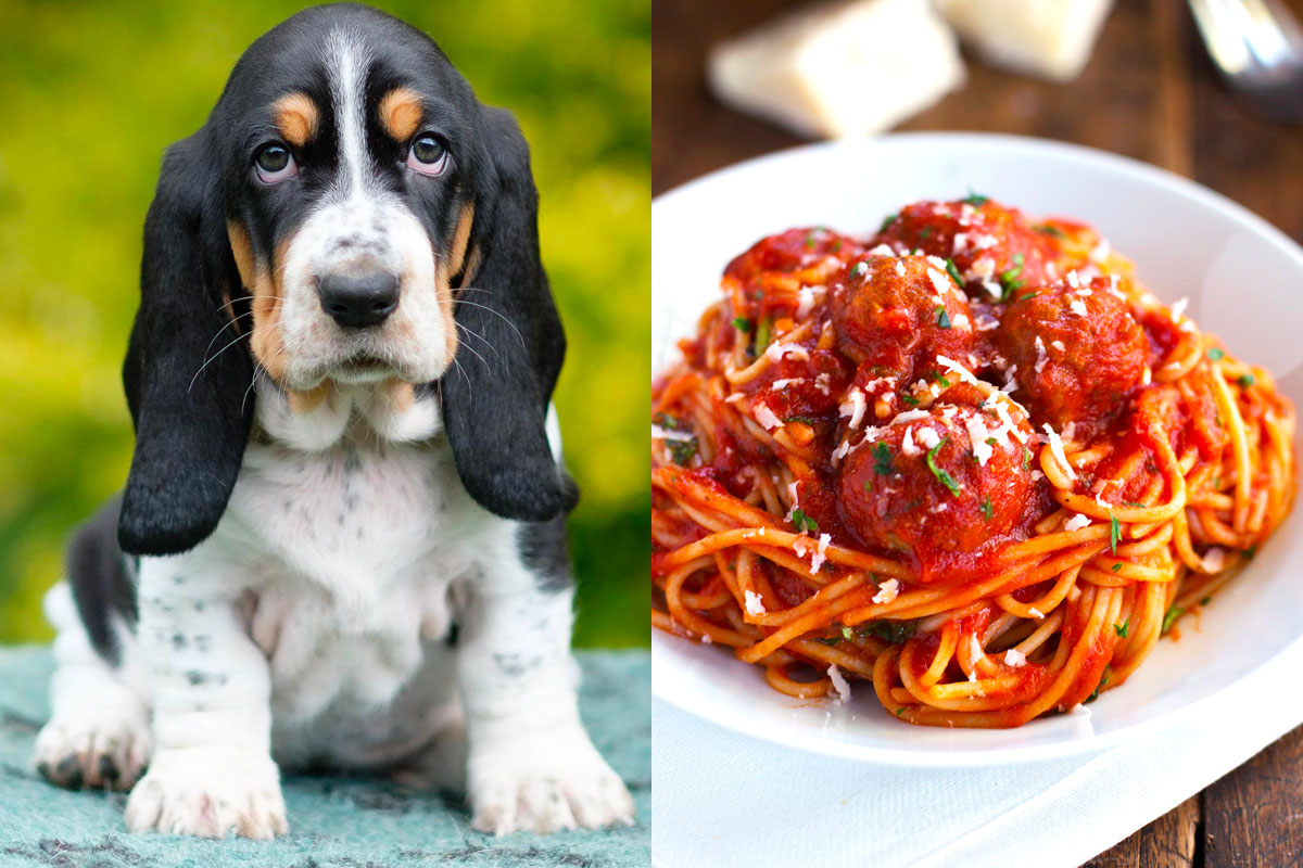 Make Some Impossible “🐶Puppy Vs. 🍕Food” Choices and We’ll Guess Your Actual and Emotional Ages 43