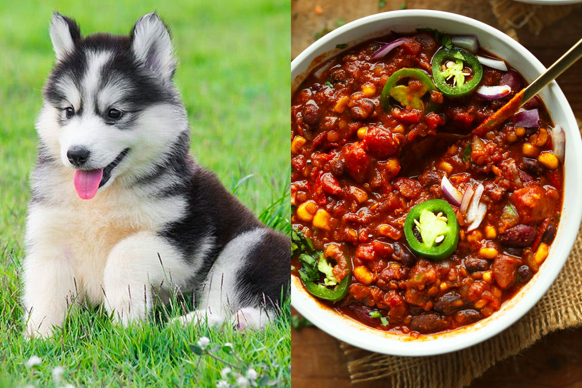 Make Some Impossible “🐶Puppy Vs. 🍕Food” Choices and We’ll Guess Your Actual and Emotional Ages 82