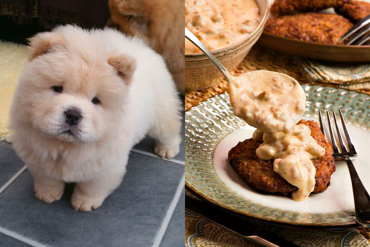 Make Some Impossible “🐶Puppy Vs. 🍕Food” Choices and We’ll Guess Your Actual and Emotional Ages 114