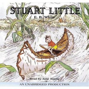 Buy Books At Book Fair & I'll Give You '90s Teen Heartt… Quiz Stuart Little