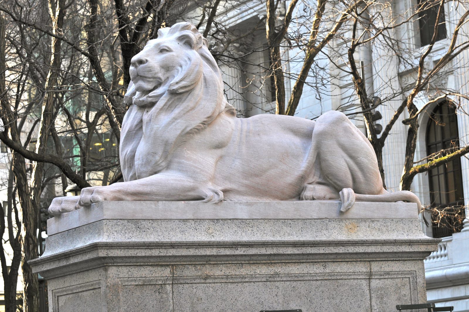No One Has Got a Perfect Score on This General Knowledge Quiz Without Cheating New_York_Public_Library_Lion