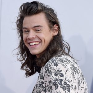 Host a Celeb Dinner Party and We’ll Guess Your Zodiac Sign Harry Styles