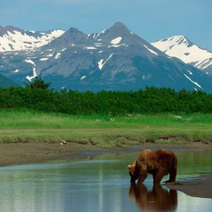 This Random Knowledge Quiz May Be Difficult, But You Should Try to Pass It Anyway Alaska