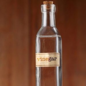 Do You Know a Little About a Lot? Vinegar