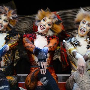 Guess The Disney Movie Titles Quiz Cats