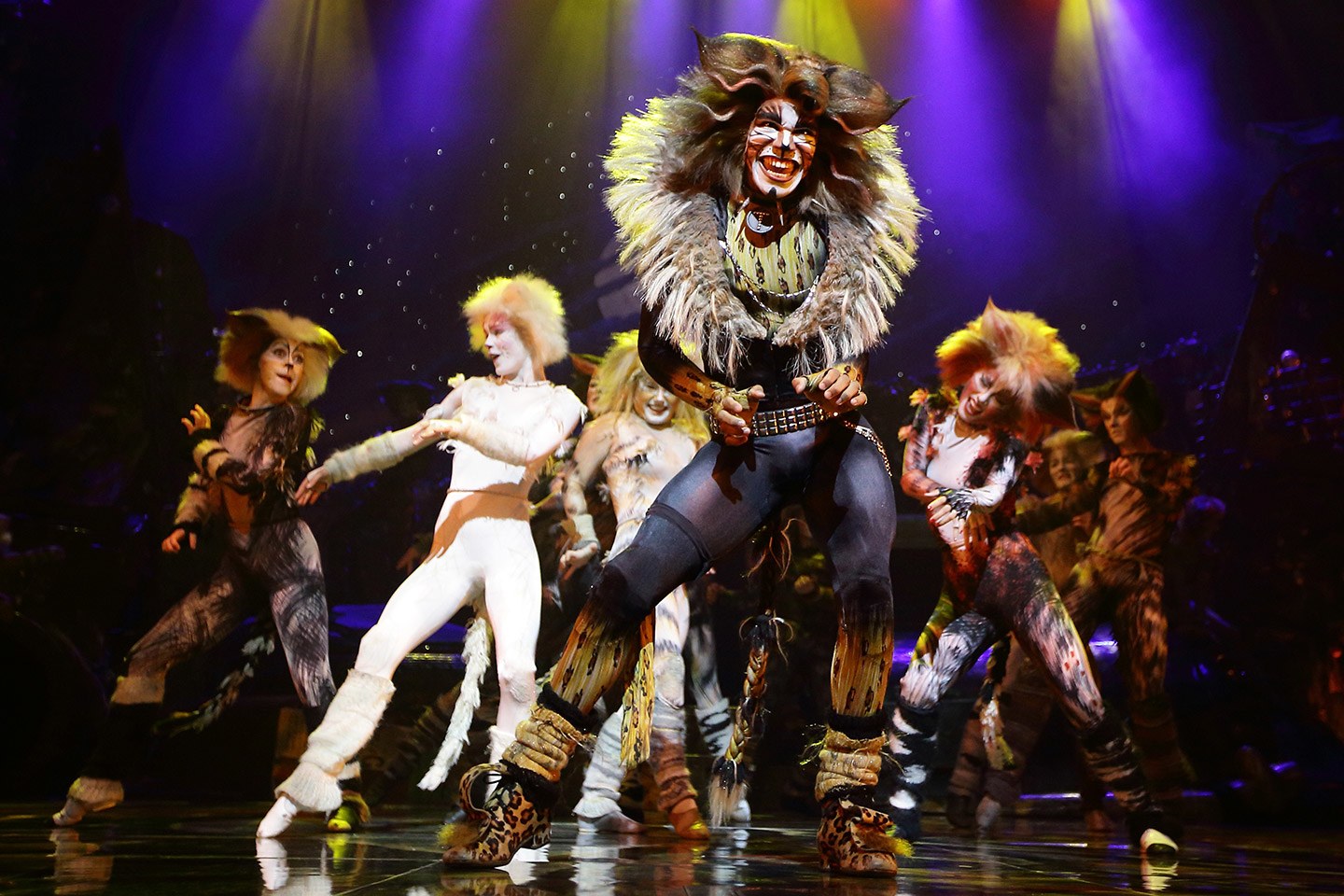 😺 How Much of a Cat Person Are You? Cats musical