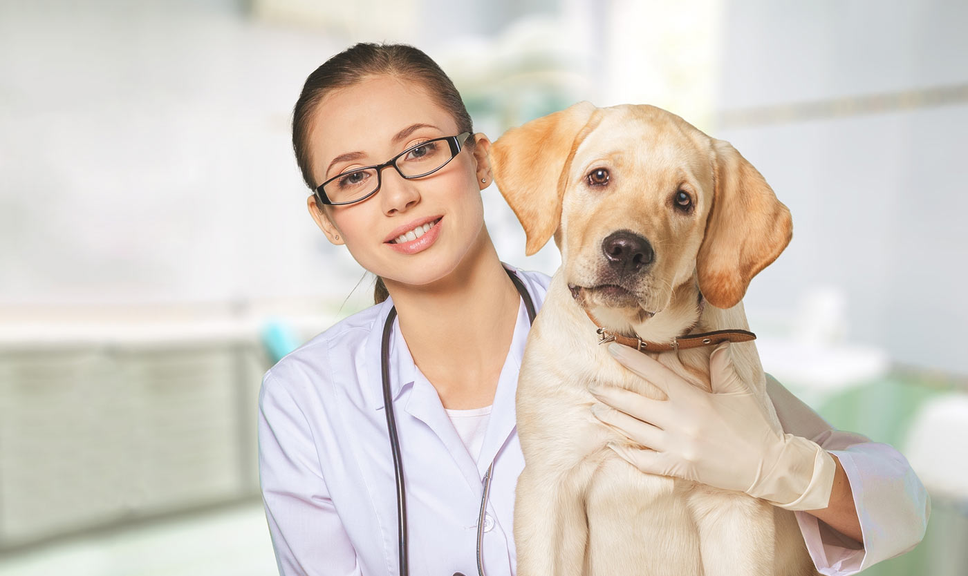 You got 11 out of 20! Only a Vet Tech Will Be Able to Answer These 20 Animal Questions