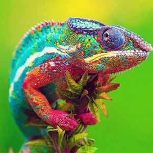 Only Vet Tech Will Be Able To Answer 20 Animal Questions Quiz Changes color to blend in to the environment