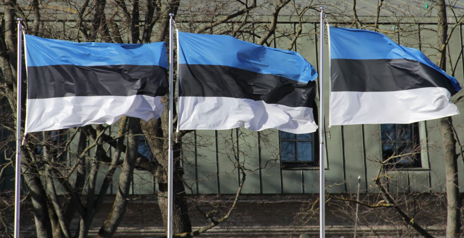 This Is Hardest General Knowledge Quiz You'll Ever Take, I Promise Estonia flag