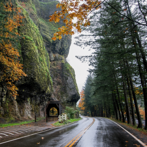 Would You Survive A Horror Movie? Quiz Pull over to the side of the road