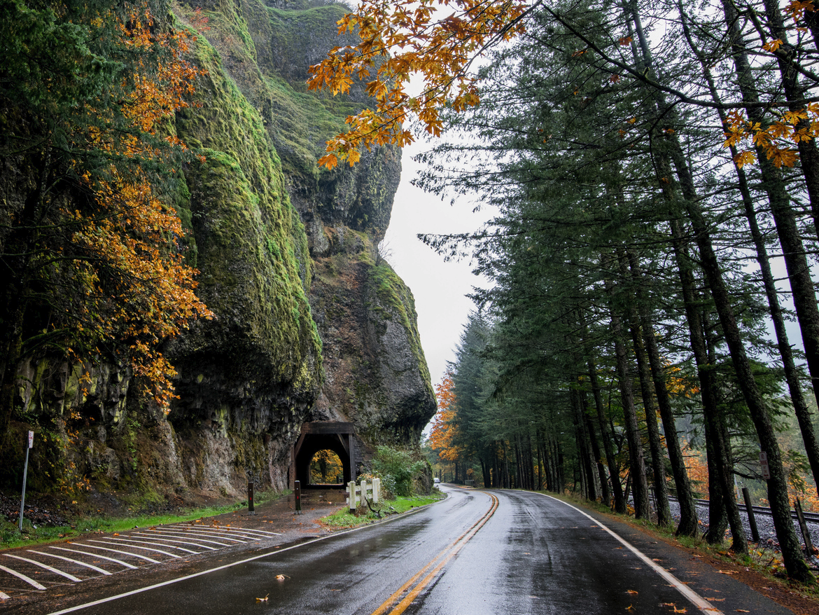 🚙 Everyone Has a Car They Should Actually Drive — Here’s Yours beautiful road