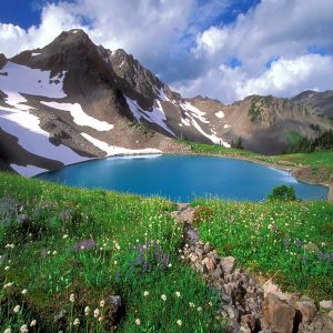 🚙 Everyone Has a Car They Should Actually Drive — Here’s Yours Olympic Peninsula, Washington