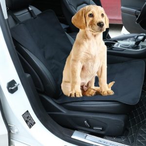 🚙 Everyone Has a Car They Should Actually Drive — Here’s Yours Pet