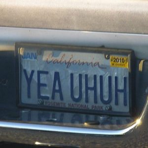 🚙 Everyone Has a Car They Should Actually Drive — Here’s Yours 