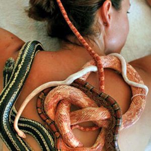 Plan Perfect Spa Day To Know First Letter Of Your True … Quiz Snake massage