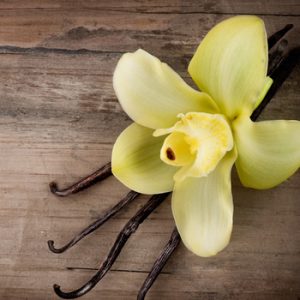 Nobody Has Scored at Least 17/20 on This General Knowledge Quiz. Will You? Vanilla