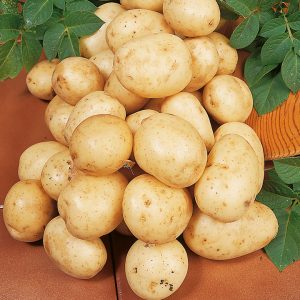 You Can Eat Food Only If You Pass This Tricky Quiz Potatoes