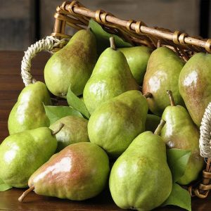 I Challenge You To Score 14 On This General Knowledge Quiz Pear