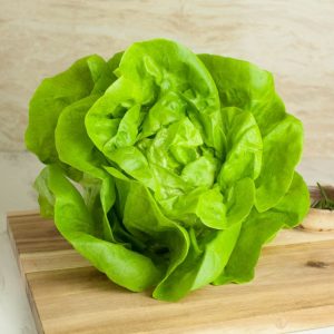 You Can Eat Food Only If You Pass This Tricky Quiz Butterhead lettuce