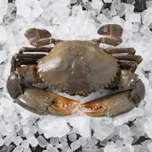 You Can Eat Food Only If You Pass This Tricky Quiz Crab