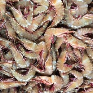 You Can Eat Food Only If You Pass This Tricky Quiz Prawn