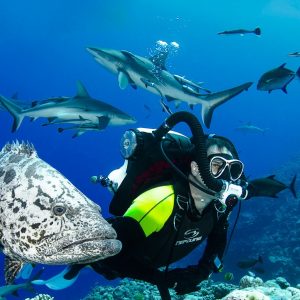 Plan Vacation In Thailand To Know Real Age Group You Be… Quiz Yes