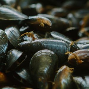 It’s OK If You Don’t Know Much About Science — Take This Quiz to Learn Something New Mussel