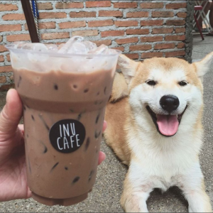 ☕ Open a Café And We’ll Reveal the State You Actually Belong in Pets being allowed in the café
