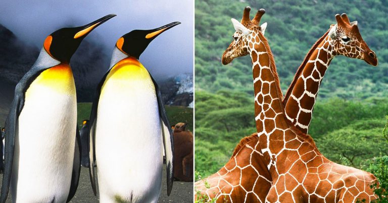 If You Get More Than 12 Things Right On This Quiz, You Should Be A Doctor