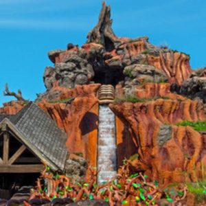 Everyone Is a Combo of Three Disney Characters — Who Are You? Splash Mountain