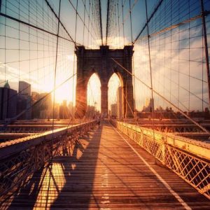 Nobody Has Scored 17 On This Difficult History Test. Wi… Quiz Brooklyn