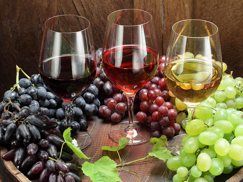 This Random Knowledge Quiz Is 20% Harder Than Most — Can You Pass It? wine grapes