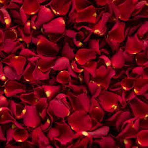 🍷 You Can Drink Wine Only If You Pass This Quiz Rose petals