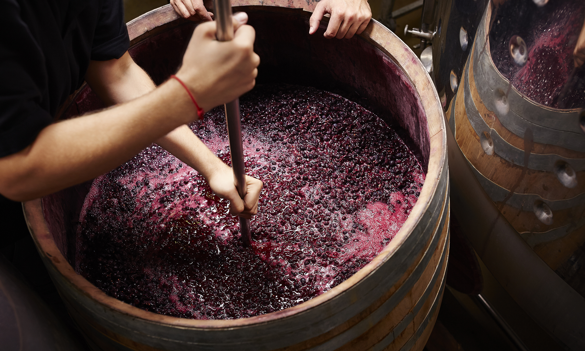 🍷 You Can Drink Wine Only If You Pass This Quiz wine production