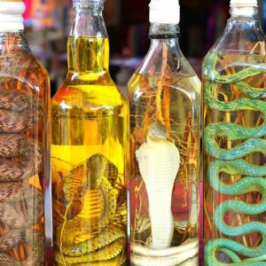 Wanna Know If You Have Enough General Knowledge? Take This Quiz To Know Snakes