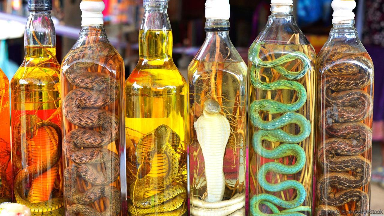 🍷 You Can Drink Wine Only If You Pass This Quiz snake wine