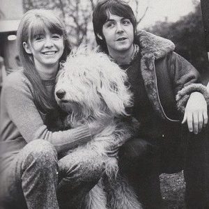 🐶 Everyone Is a Combo of One Dog Breed and One Cat Breed — What Are You? 🐱 The Beatles - “Martha My Dear”