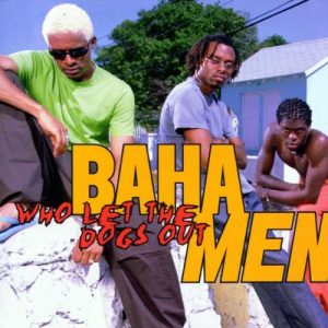 🐶 Everyone Is a Combo of One Dog Breed and One Cat Breed — What Are You? 🐱 Baha Men - \
