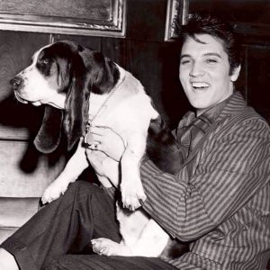 No One’s Got a Perfect Score on This General Knowledge Quiz (feat. Elvis Presley) — Can You? Hound Dog